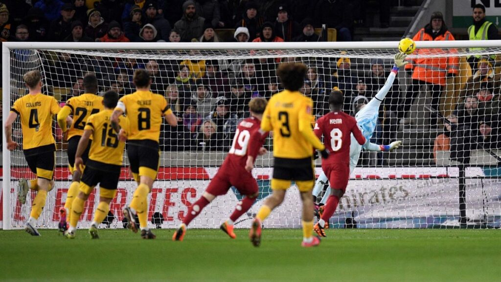 หงษ์รักษาถ้วย