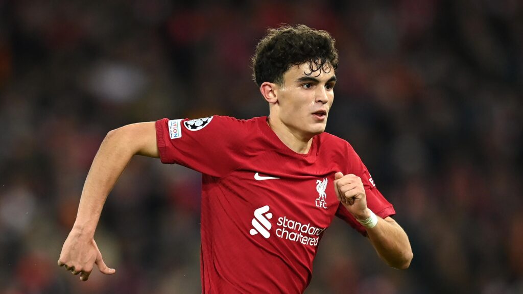 สเตฟานดาวรุ่ง